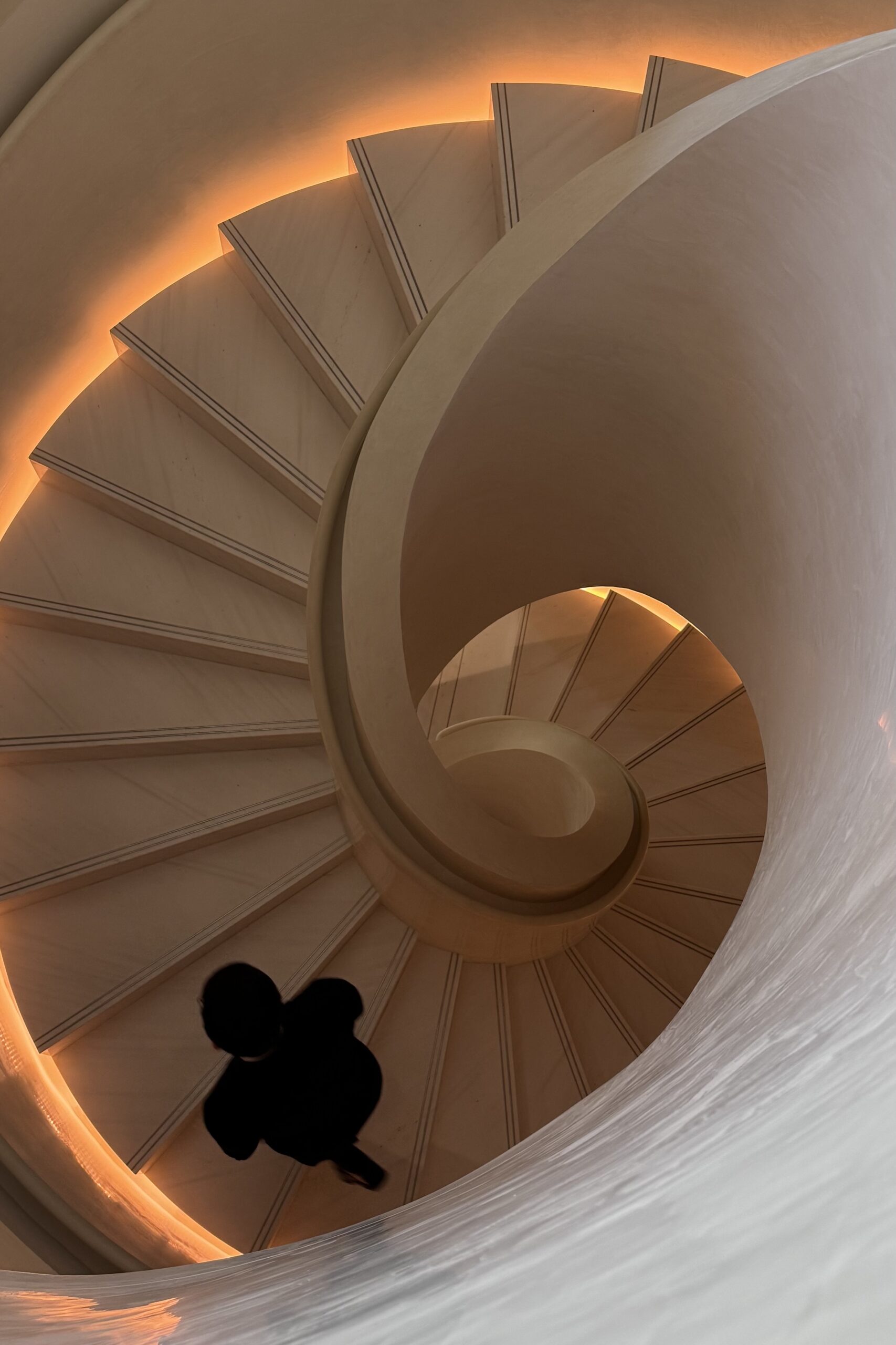 Neuroscience and Perception Featured Image